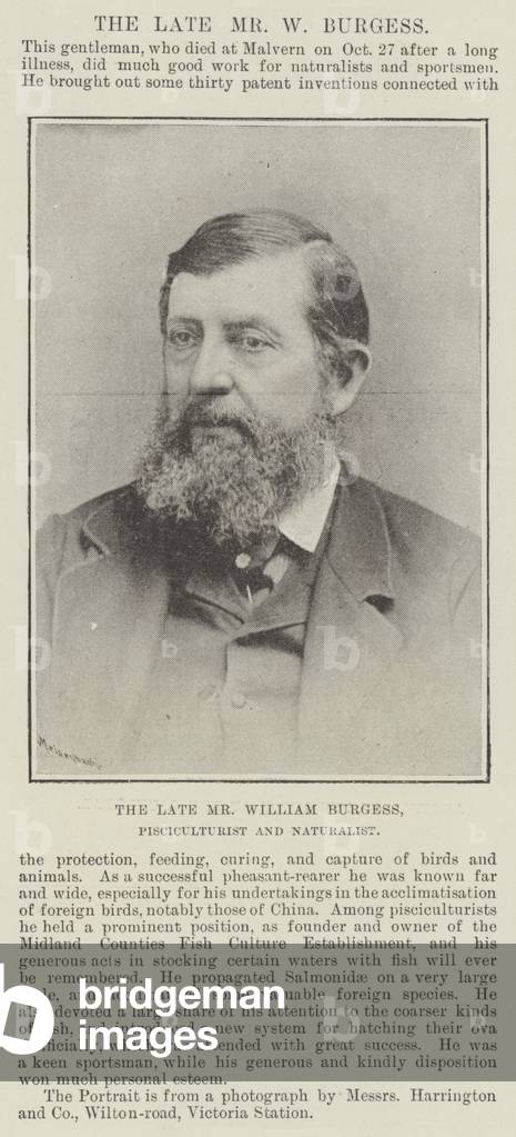 The late Mr William Burgess, Pisciculturist and Naturalist (b/w photo)