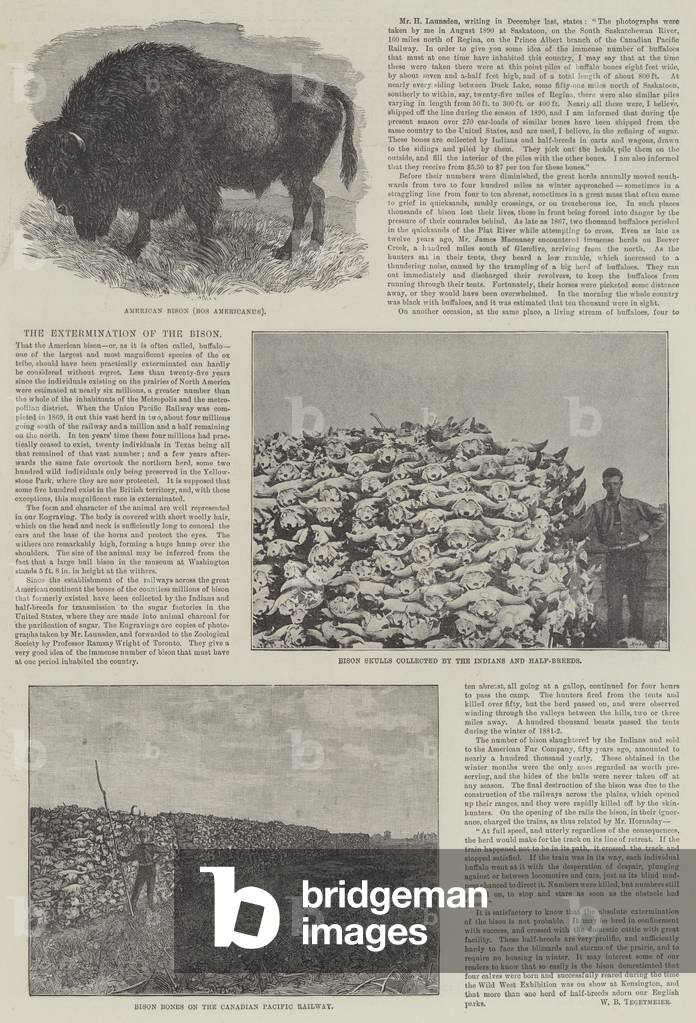 The Extermination of the Bison (engraving)