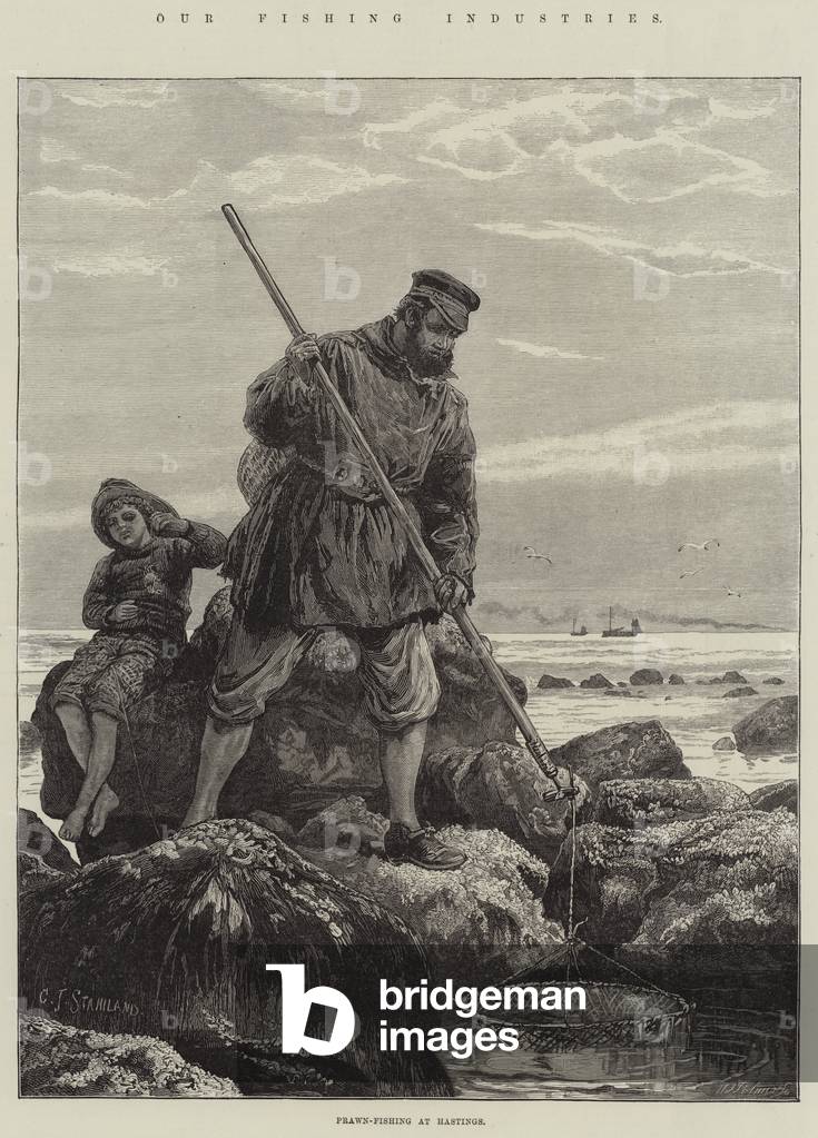 Our Fishing Industries, Prawn-Fishing at Hastings (engraving)