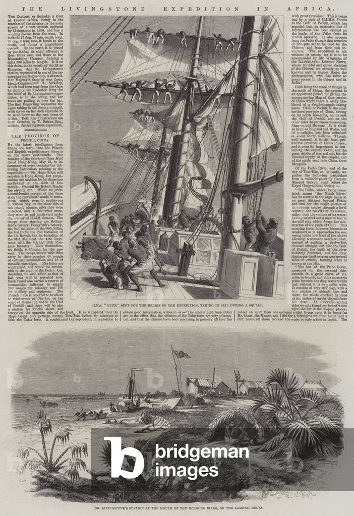 The Livingstone Expedition in Africa (engraving)