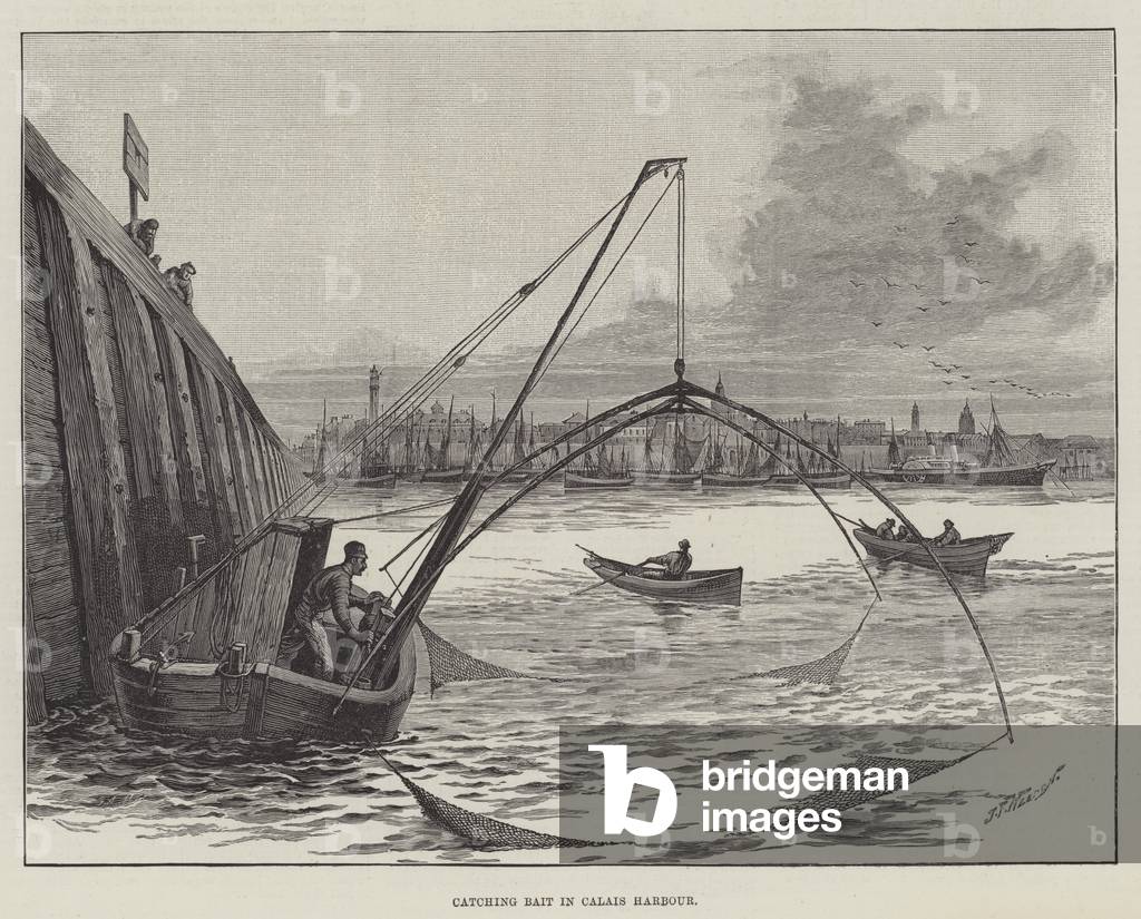 Catching Bait in Calais Harbour (engraving)