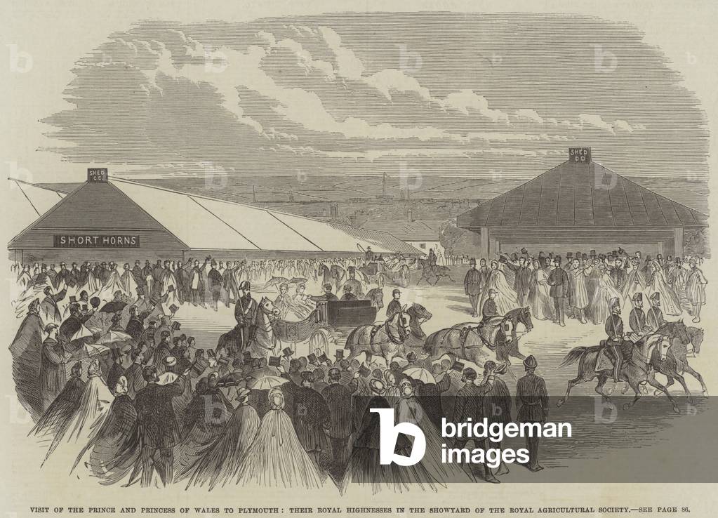 Visit of the Prince and Princess of Wales to Plymouth, Their Royal Highnesses in the Showyard of the Royal Agricultural Society (engraving)
