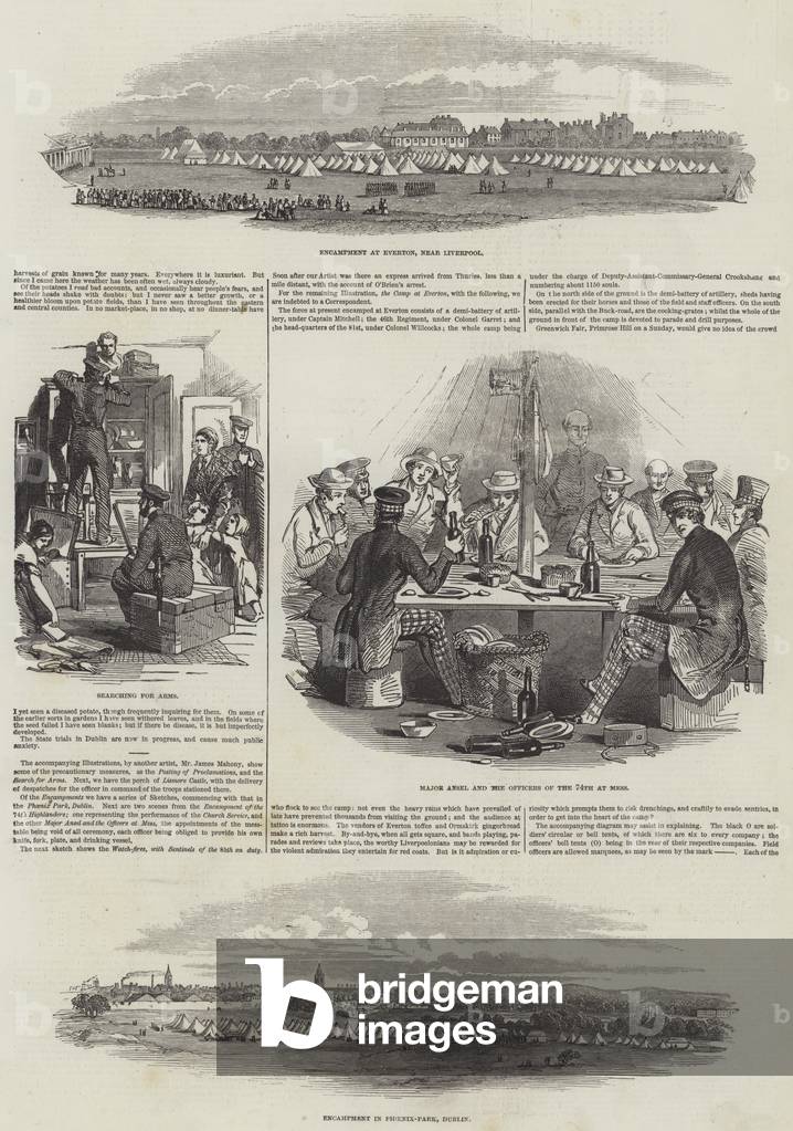 The Insurrection in Ireland (engraving)