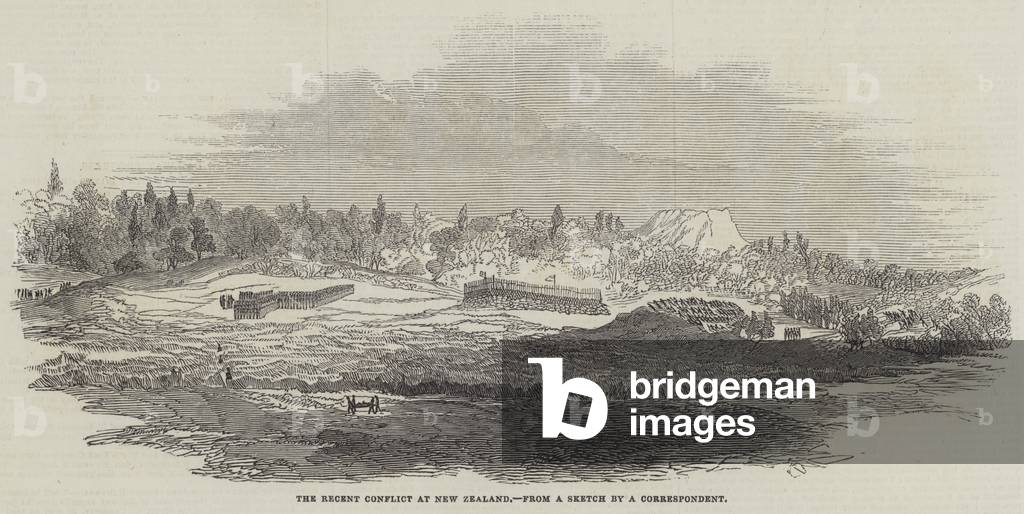 The Recent Conflict at New Zealand (engraving)