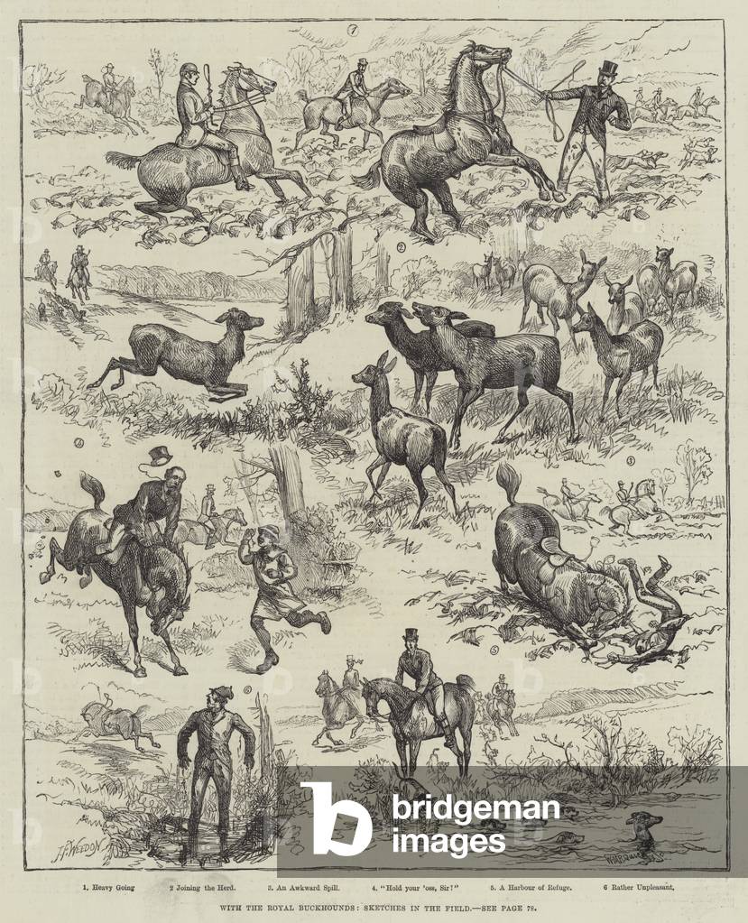 With the Royal Buckhounds, Sketches in the Field (engraving)