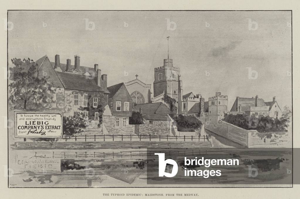 Advertisement, the Typhoid Epidemic, Maidstone from the Medway (engraving)