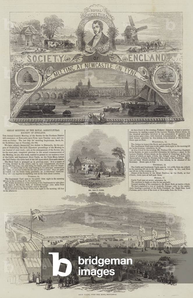 Great Meeting of the Royal Agricultural Society of England (engraving)