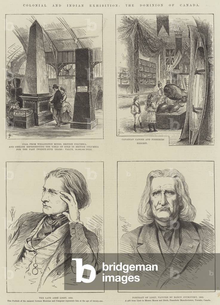 Colonial and Indian Exhibition, the Dominion of Canada (engraving)