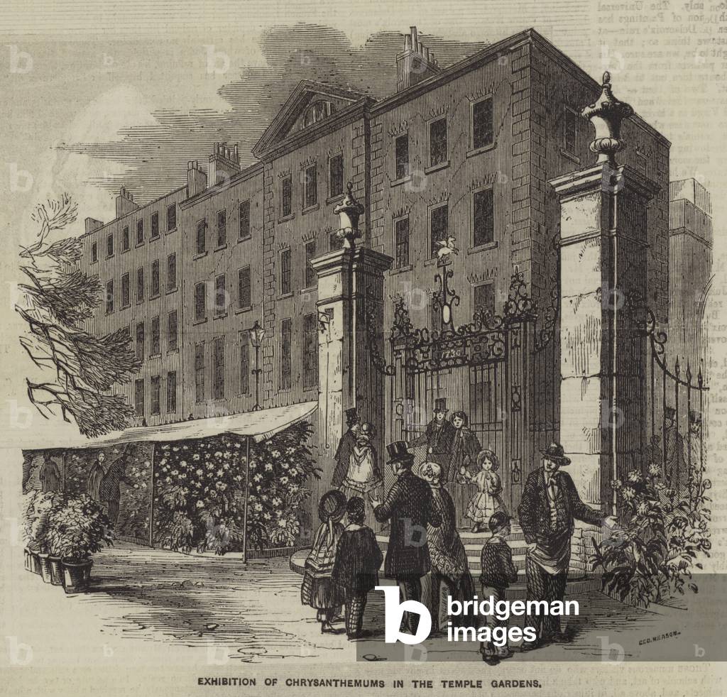 Exhibition of Chrysanthemums in the Temple Gardens (engraving)