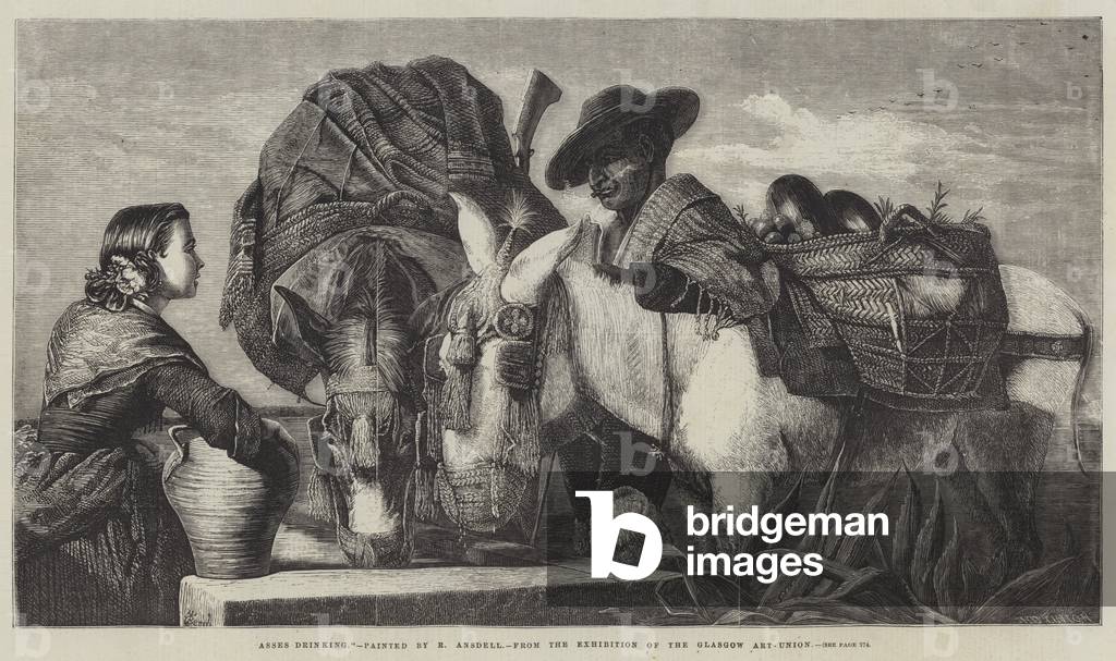 Asses Drinking (engraving)