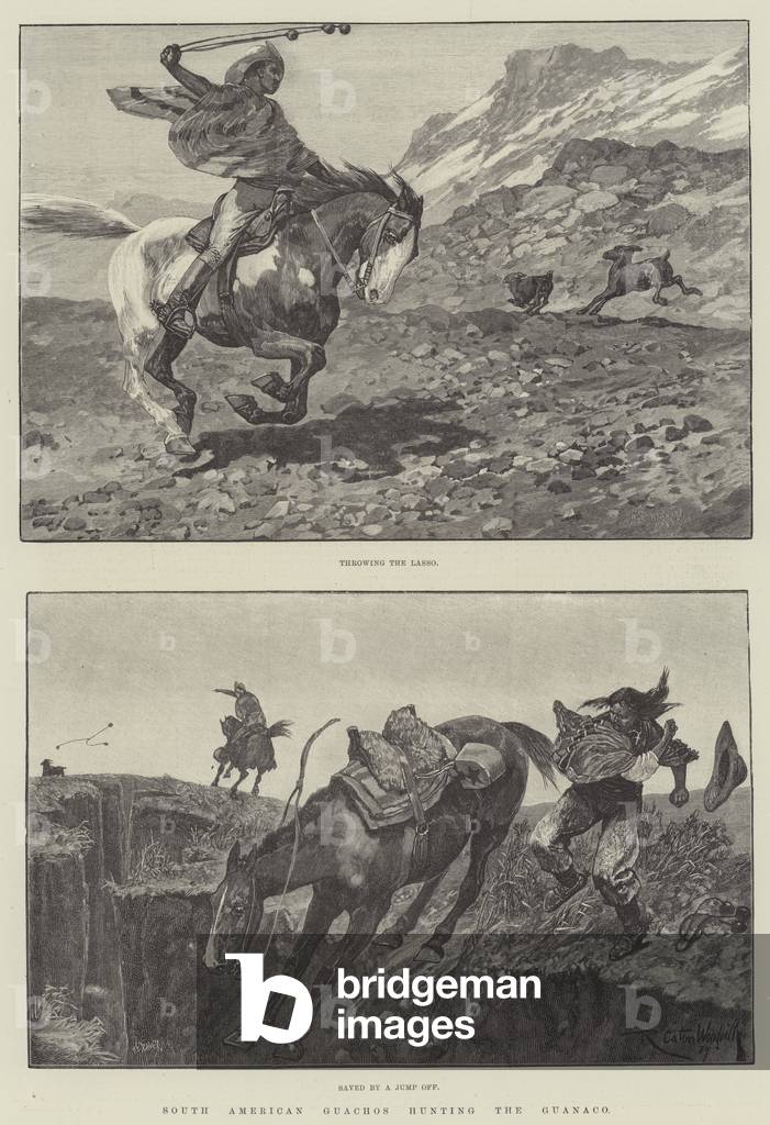 South American Guachos hunting the Guanaco (engraving)