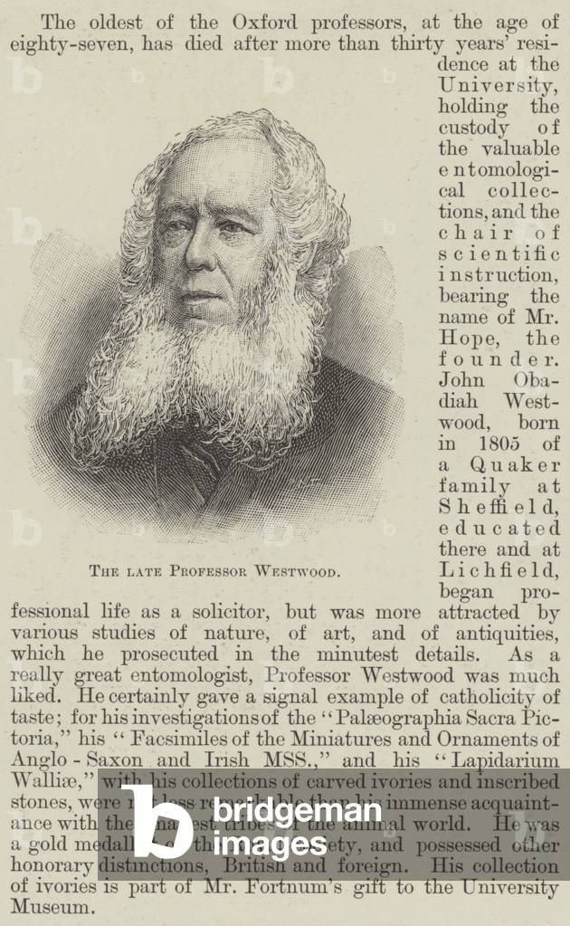 The late Professor Westwood (engraving)