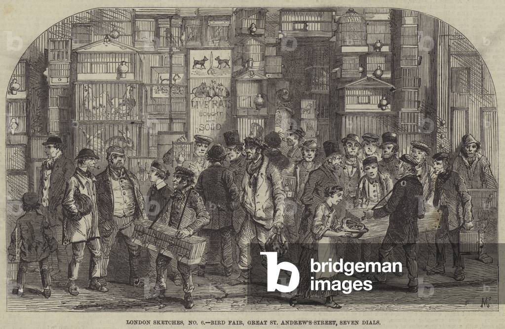 London Sketches, Bird Fair, Great St Andrew's Street, Seven Dials (engraving)