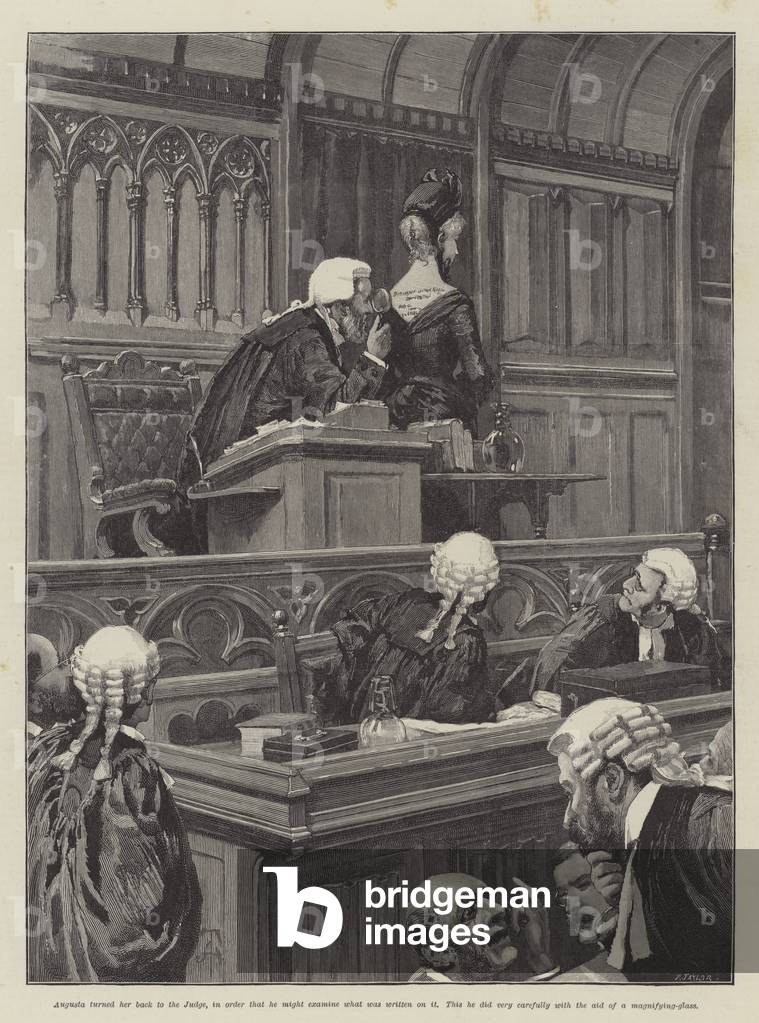 Mr Meeson's Will, by H Rider Haggard (engraving)
