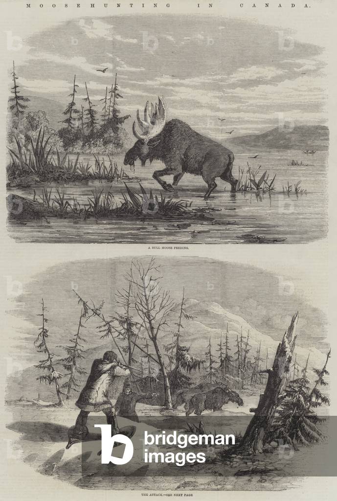 Moose Hunting in Canada (engraving)