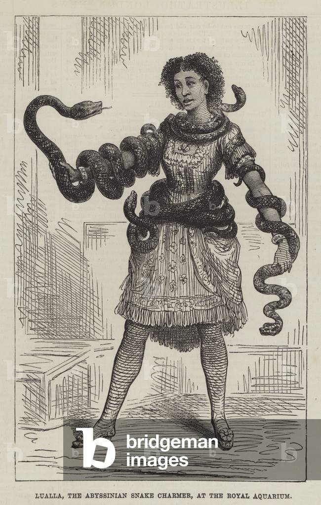 Lualla, the Abyssinian Snake Charmer, at the Royal Aquarium (engraving)