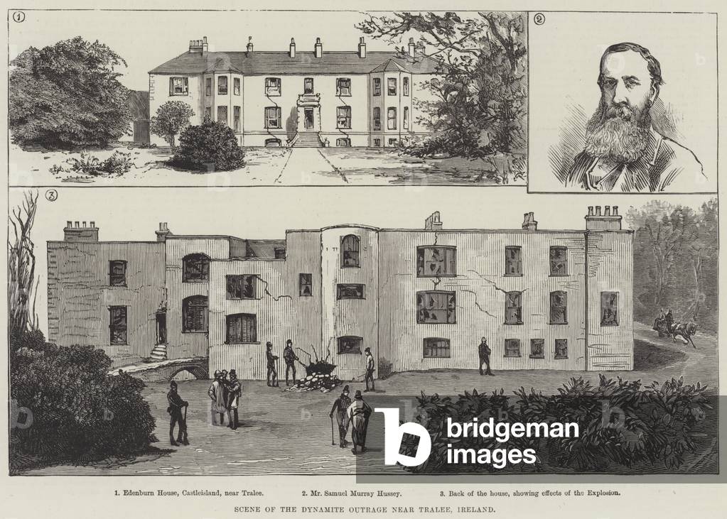 Scene of the Dynamite Outrage near Tralee, Ireland (engraving)