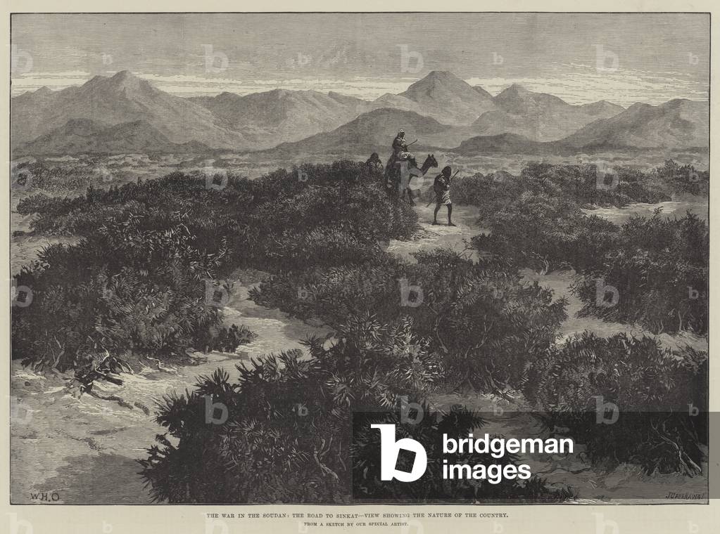 The War in the Soudan, the Road to Sinkat, View showing the Nature of the Country (engraving)