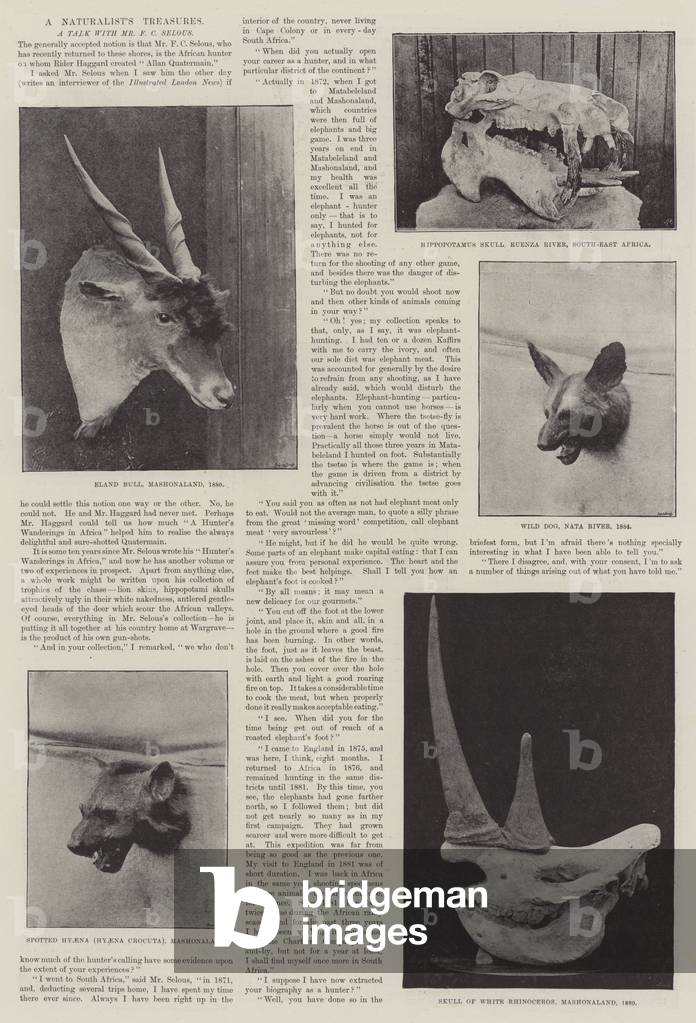 A Naturalist's Treasures (b/w photo)