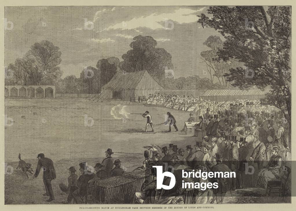 Pigeon-Shooting Match at Hurlingham Park between Members of the Houses of Lords and Commons (engraving)