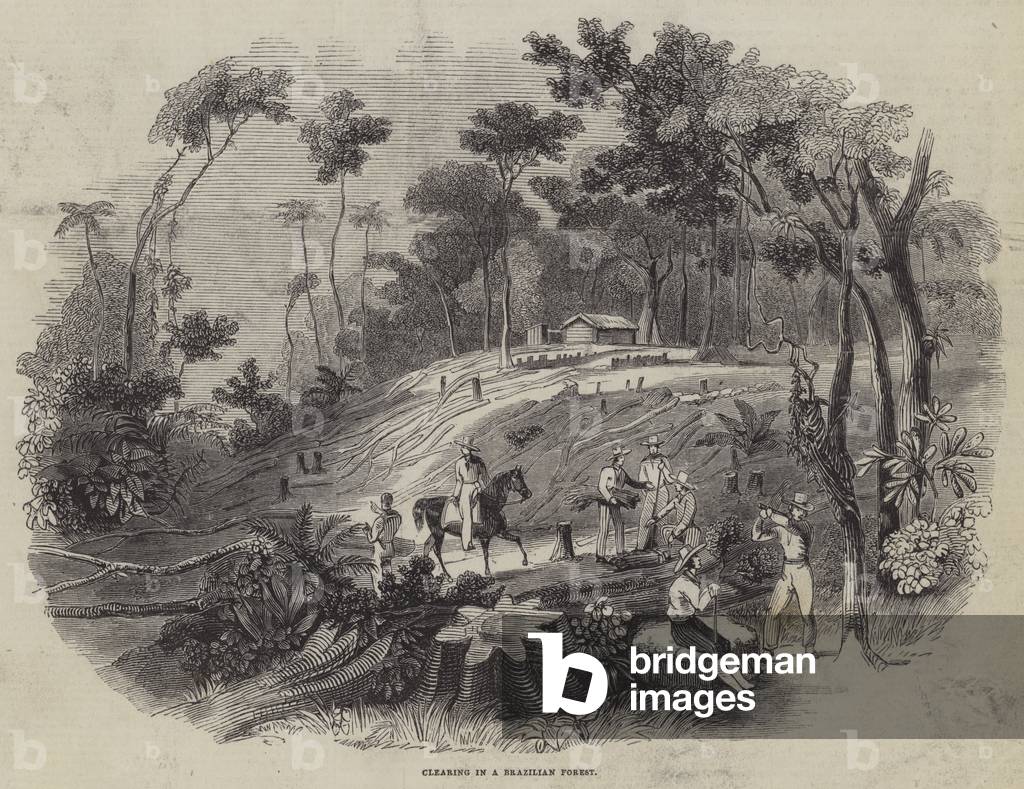 Clearing in a Brazilian Forest (engraving)