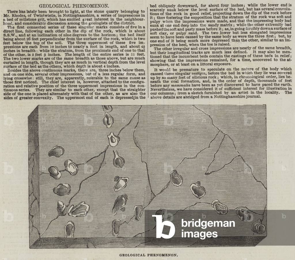 Geological Phenomenon (engraving)