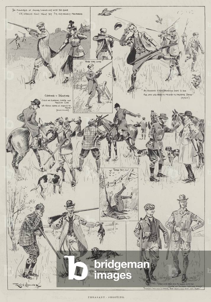 Pheasant-Shooting (engraving)