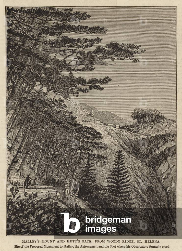 Halley's Mount and Hutt's Gate, from Woody Ridge, St Helena (engraving)