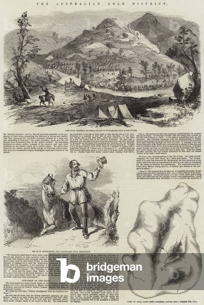 The Australian Gold District (engraving)