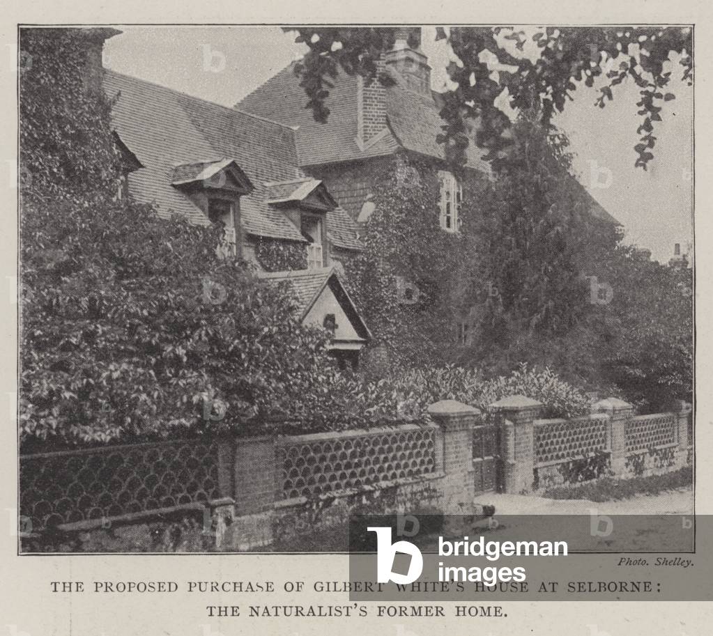 The Proposed Purchase of Gilbert White's House at Selborne, the Naturalist's Former Home (b/w photo)