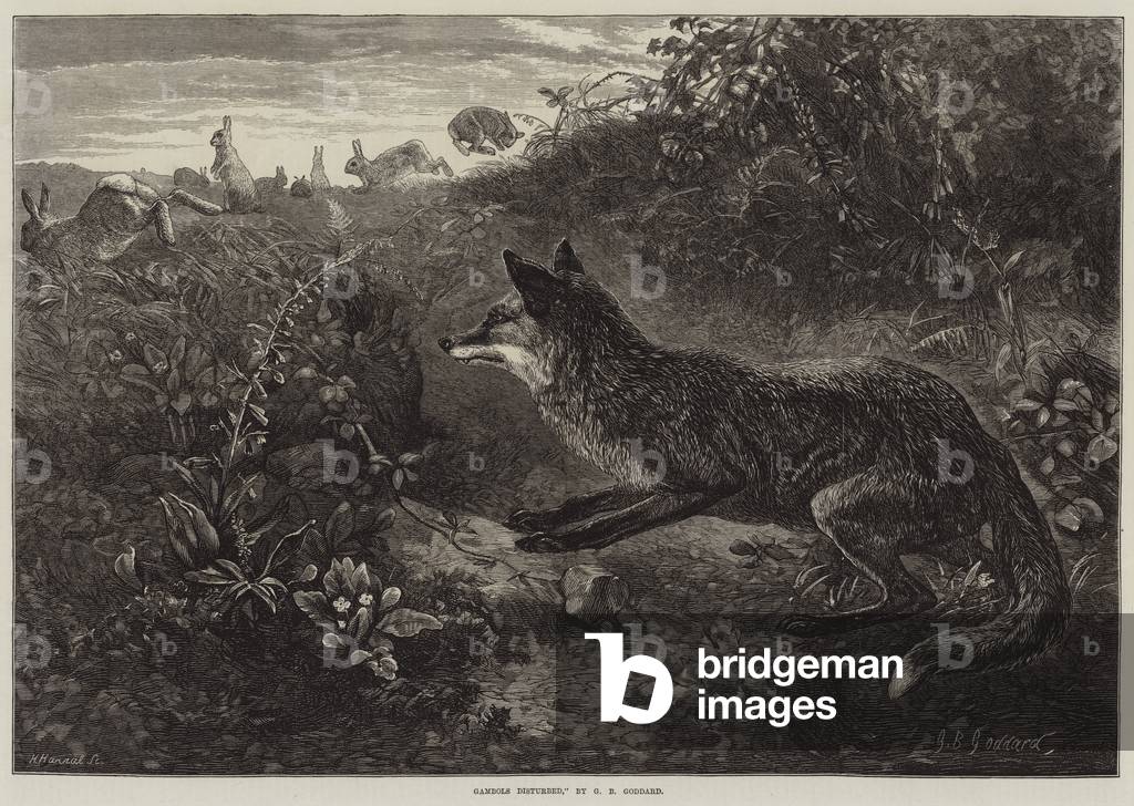 Gambols Disturbed (engraving)