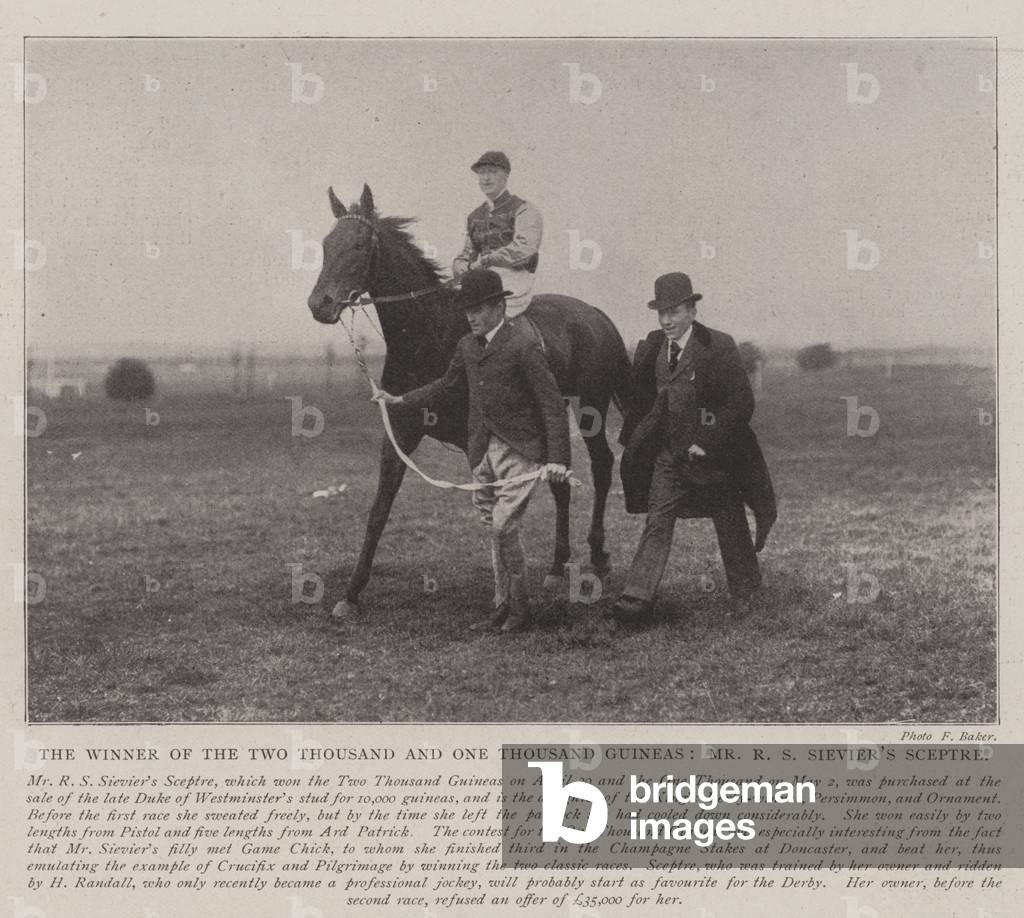 The Winner of the Two Thousand and One Thousand Guineas, Mr R S Sievier's Sceptre (b/w photo)