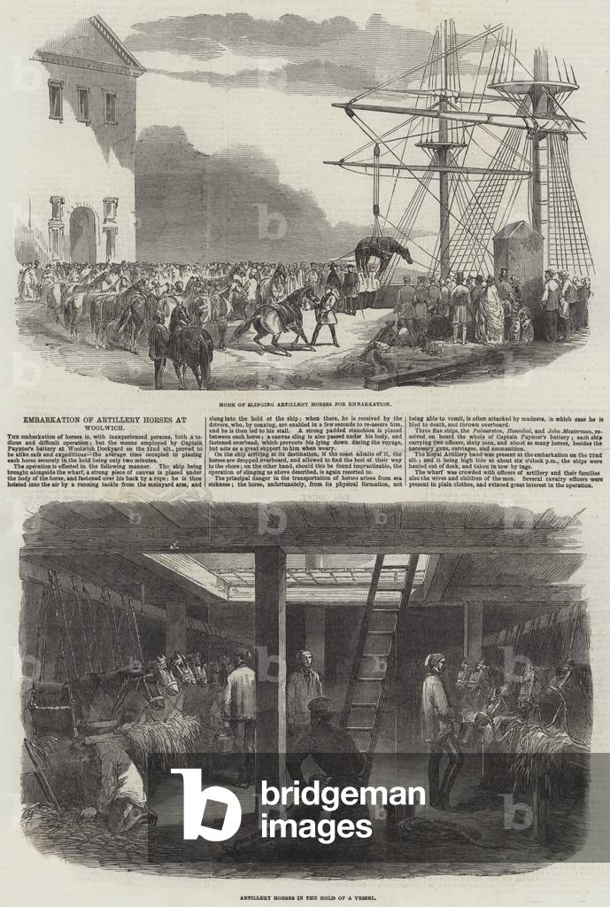 Embarkation of Artillery Horses at Woolwich (engraving)
