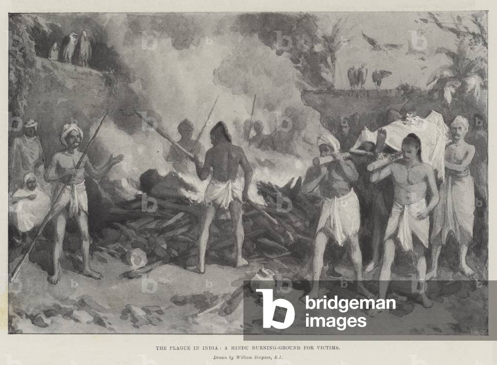 Results for "plague"