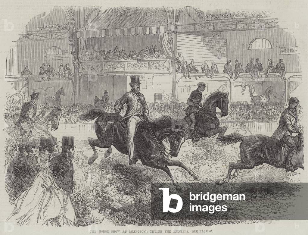 The Horse Show at Islington, trying the Hunters (engraving)