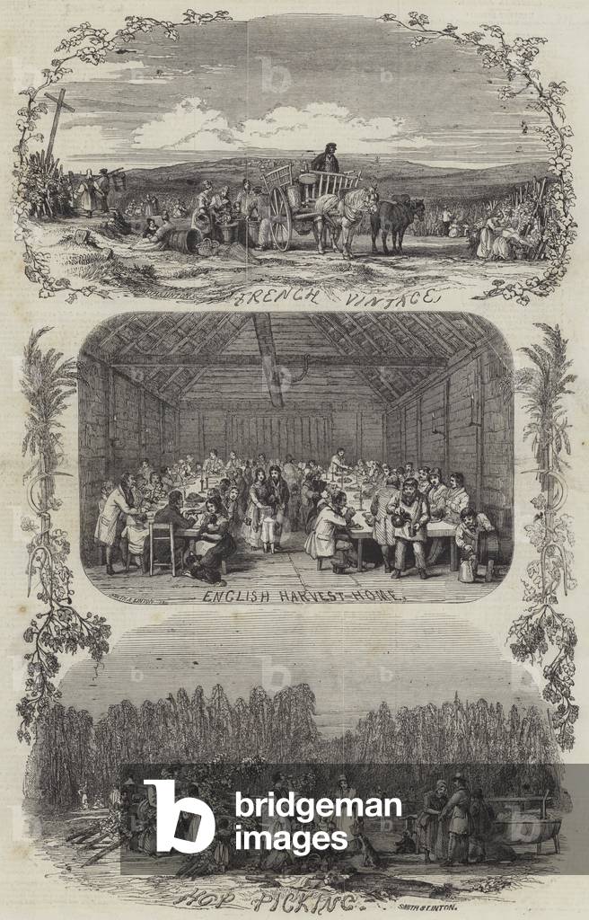 Agriculture in England and France (engraving)