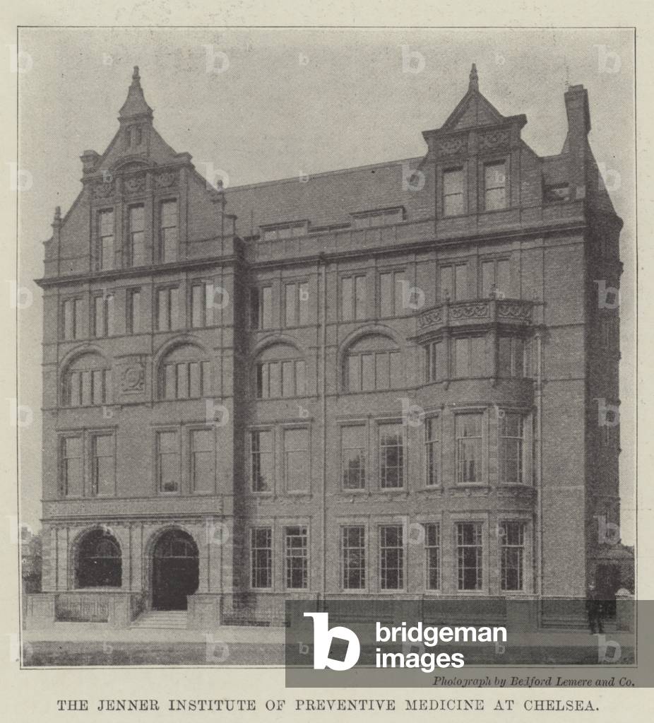 The Jenner Institute of Preventive Medicine at Chelsea (b/w photo)