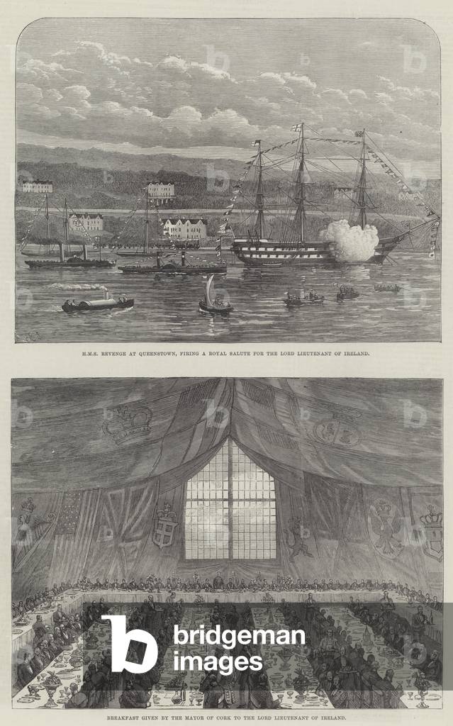 The Lord Lieutenant at Cork (engraving)