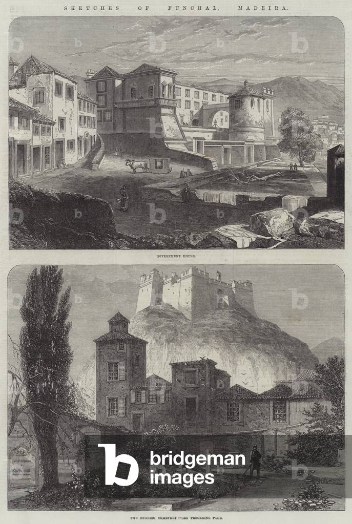 Sketches of Funchal, Madeira (engraving)
