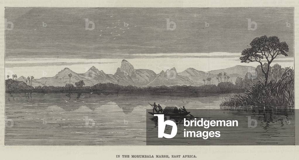 In the Morumbala Marsh, East Africa (engraving)