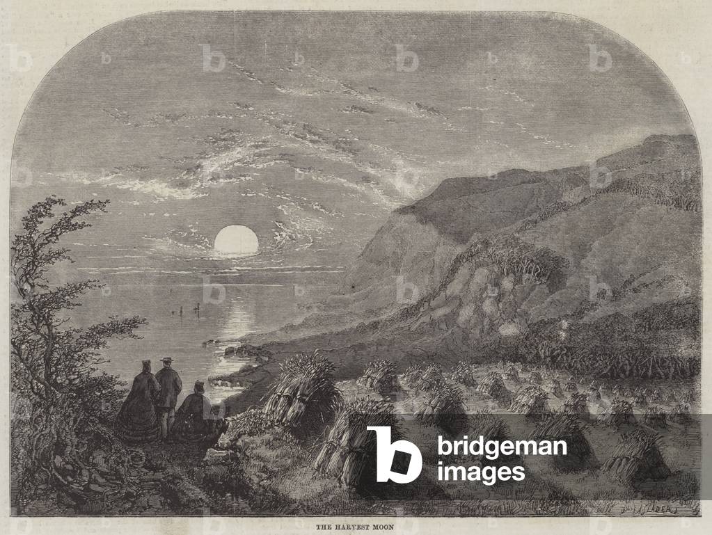 The Harvest Moon (engraving)