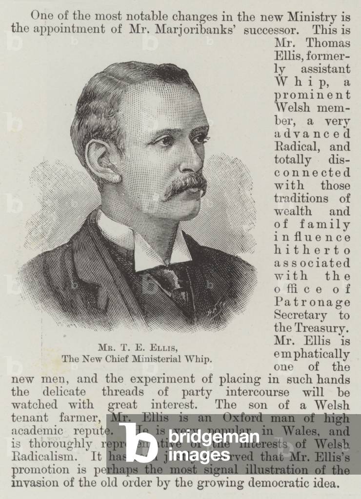 Mr T E Ellis, the New Chief Ministerial Whip (engraving)