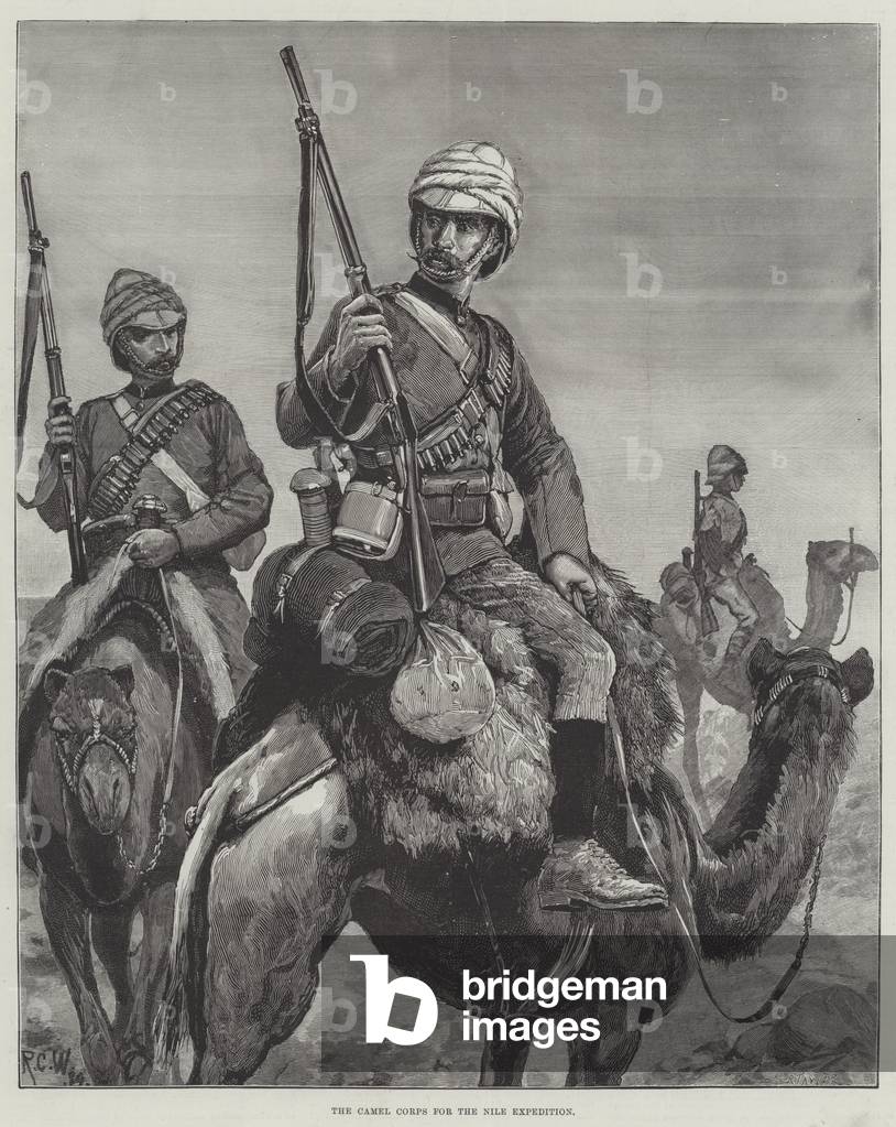 The Camel Corps for the Nile Expedition (engraving)