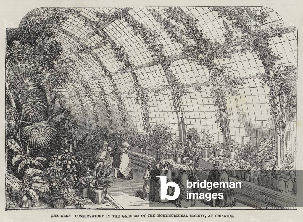 The Great Conservatory in the Gardens of the Horticultural Society, at Chiswick (engraving)