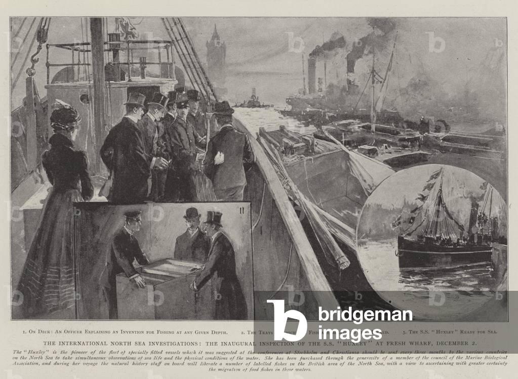 The International North Sea Investigations, the Inaugural Inspection of the SS 