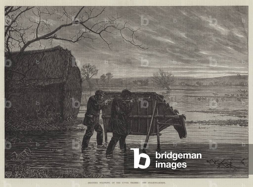 Shooting Wildfowl on the Upper Thames, the Stalking-Horse (engraving)