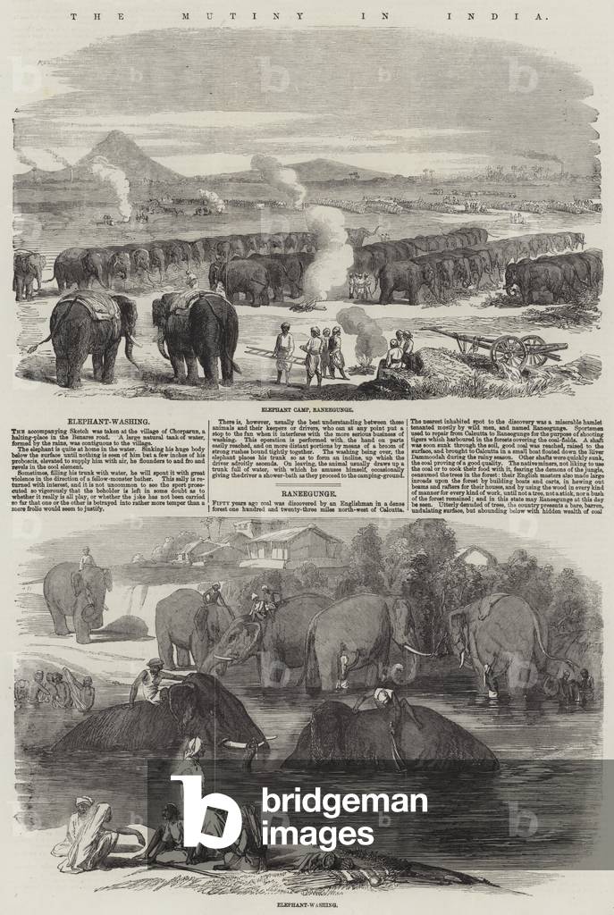 The Mutiny in India (engraving)
