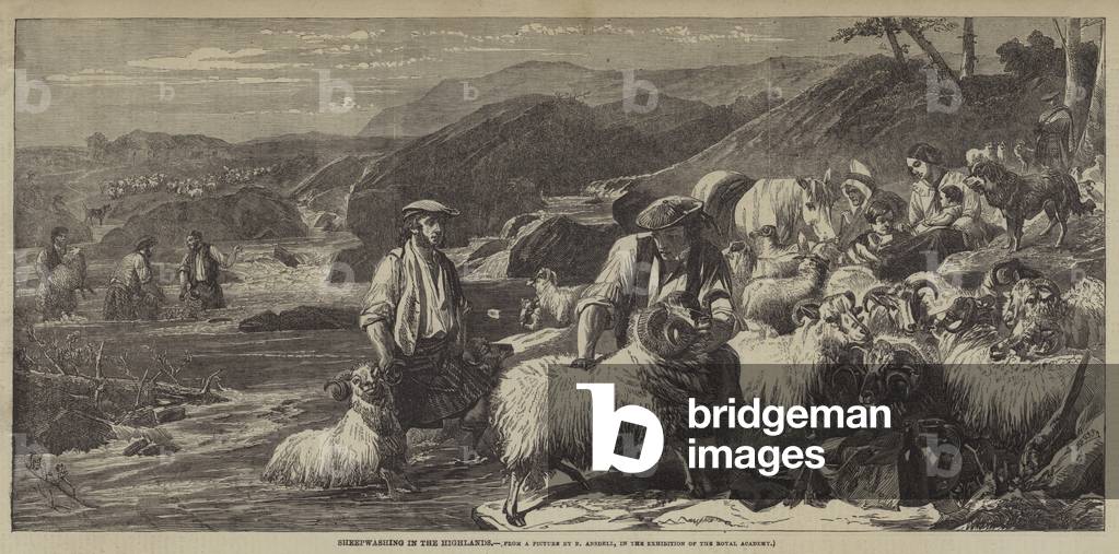 Sheepwashing in the Highlands (engraving)