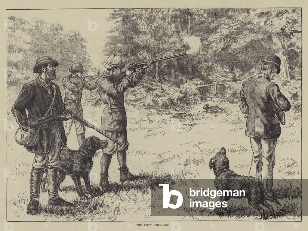 The First Pheasant (engraving)