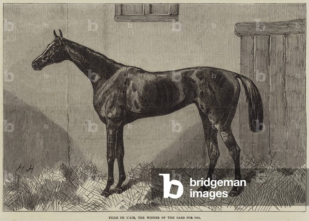 Fille de l'Air, the Winner of The Oaks for 1864 (engraving)
